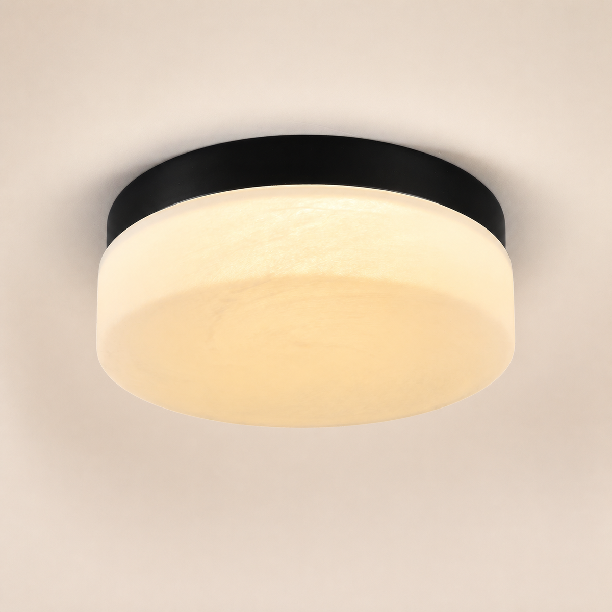 Resto Glow AI product image 2026-08-03 — clean background — 12-Inch Black 24W LED Flush-Mount Ceiling Light for Restaurant Dining Rooms