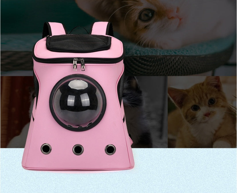 Ventilated Capsule Transport Backpack for Cat Cafés, Adoption Lounges, and Hospitality Care Teams — view 11