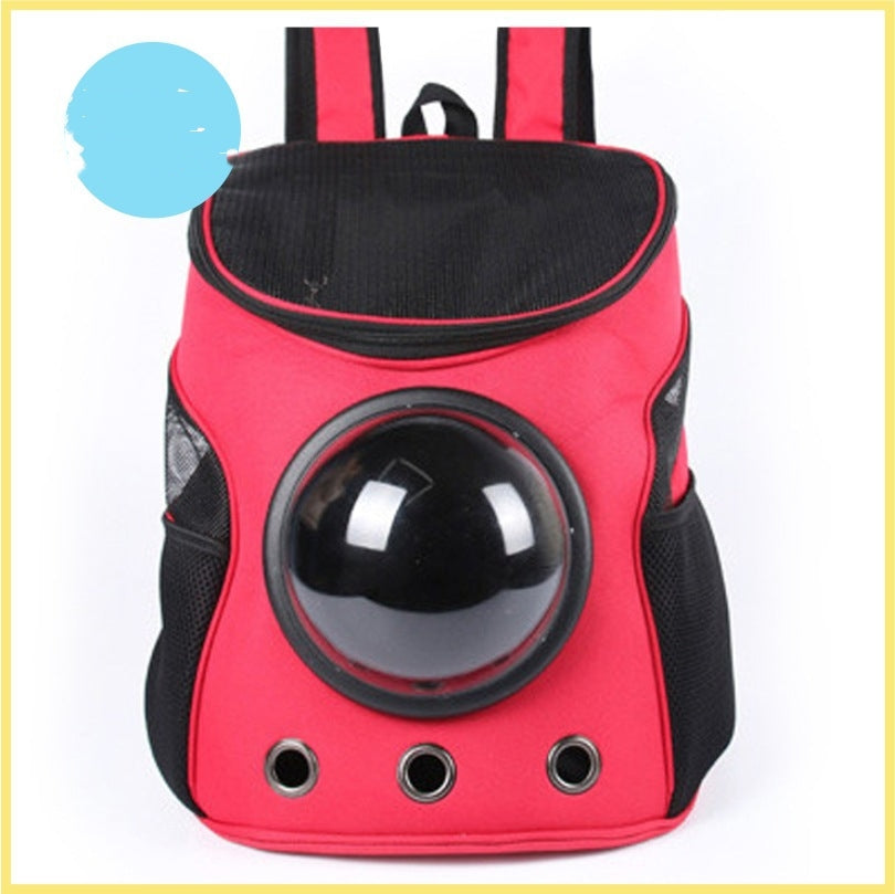 Ventilated Capsule Transport Backpack for Cat Cafés, Adoption Lounges, and Hospitality Care Teams — view 21