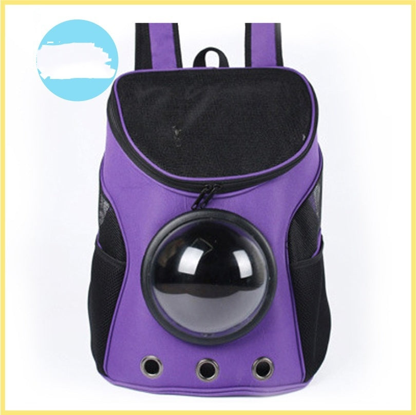 Ventilated Capsule Transport Backpack for Cat Cafés, Adoption Lounges, and Hospitality Care Teams — view 20