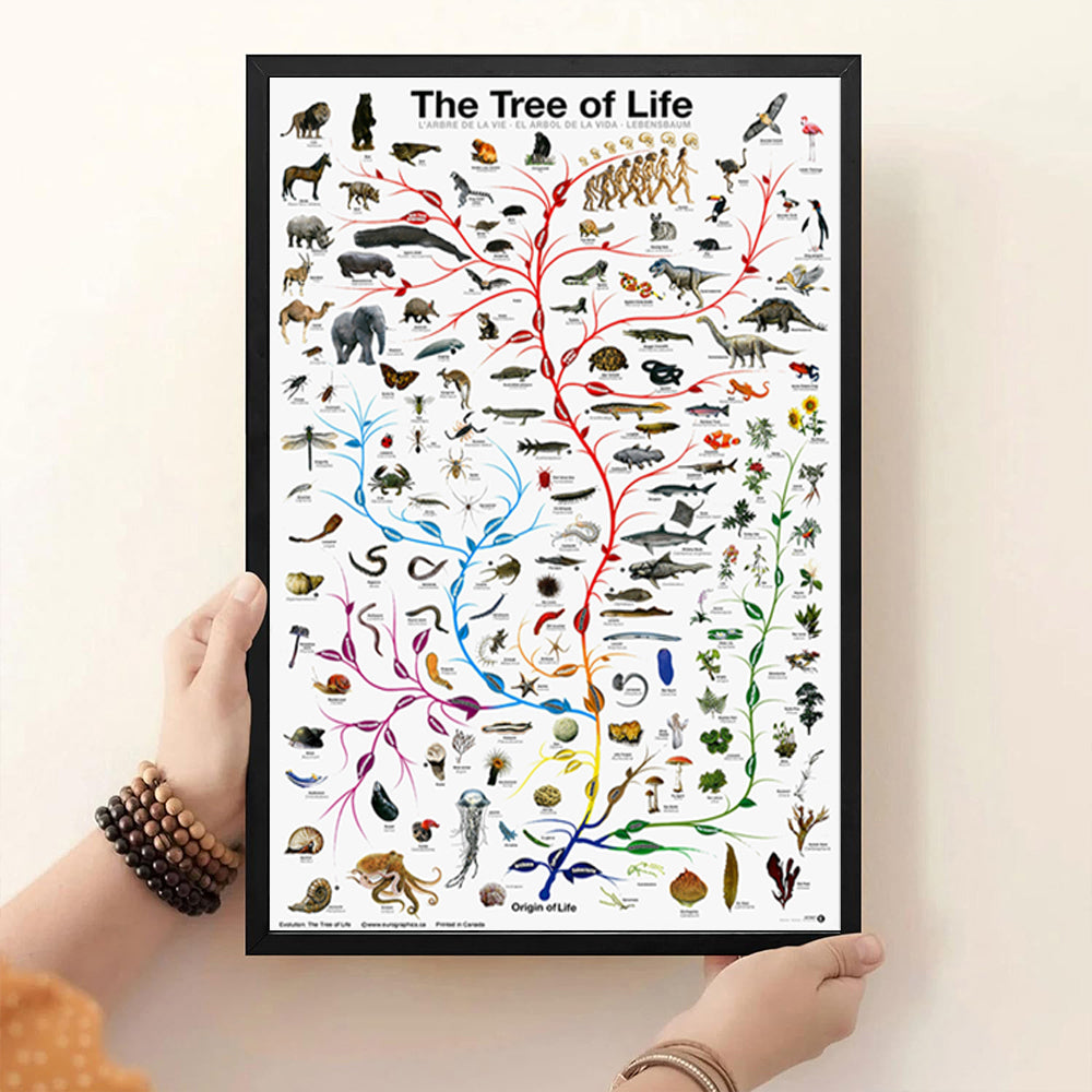 Evolution Tree Of Life Poster Educational Biology Science Chart For Home Wall Decor Novelty Print For Classrooms Offices — view 2