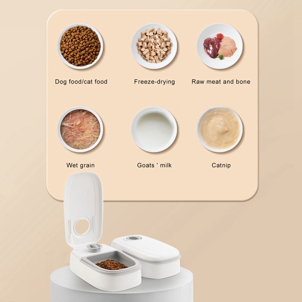 Timed Automatic Feeder with Stainless-Steel Bowl for Cat Cafés, Foster Rooms, and Consistent Feeding Routines — view 8