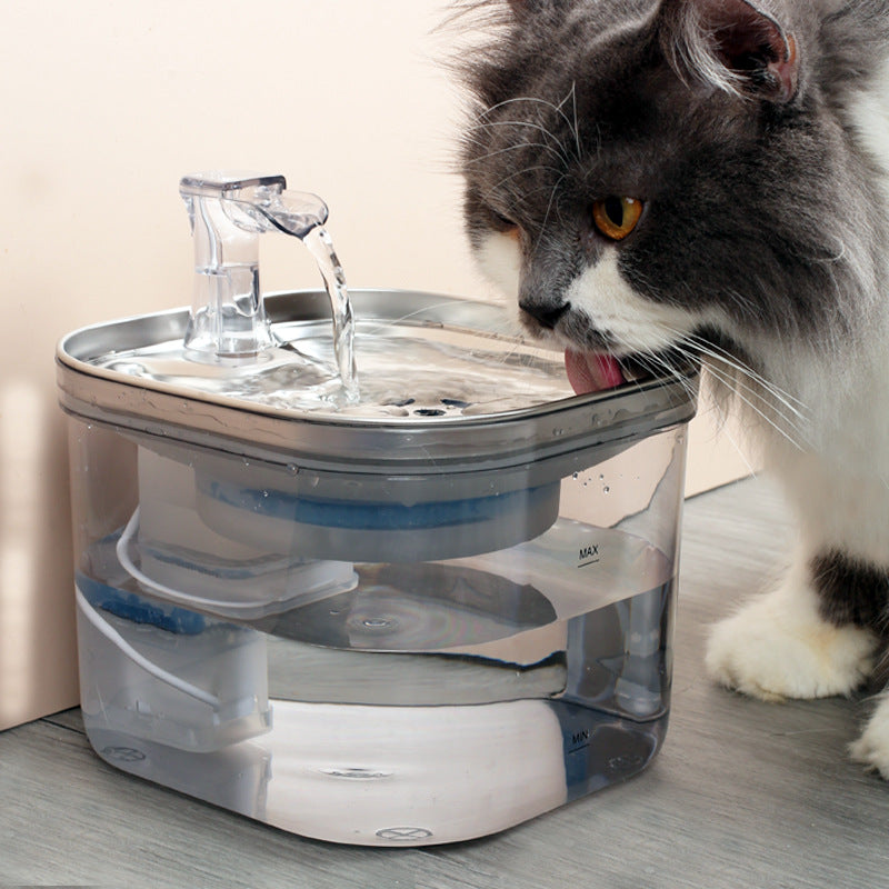 Stainless-Steel Continuous-Flow Water Fountain for Cat Cafés, Adoption Lounges, and Multi-Cat Hospitality Spaces — view 11