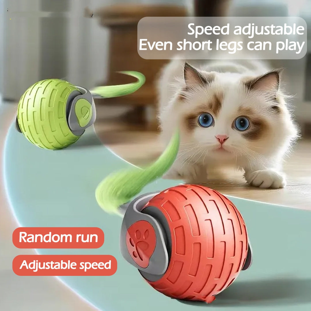 Rechargeable Automatic Rolling Enrichment Ball for Cat Cafés, Adoption Lounges, and Supervised Indoor Play — view 3