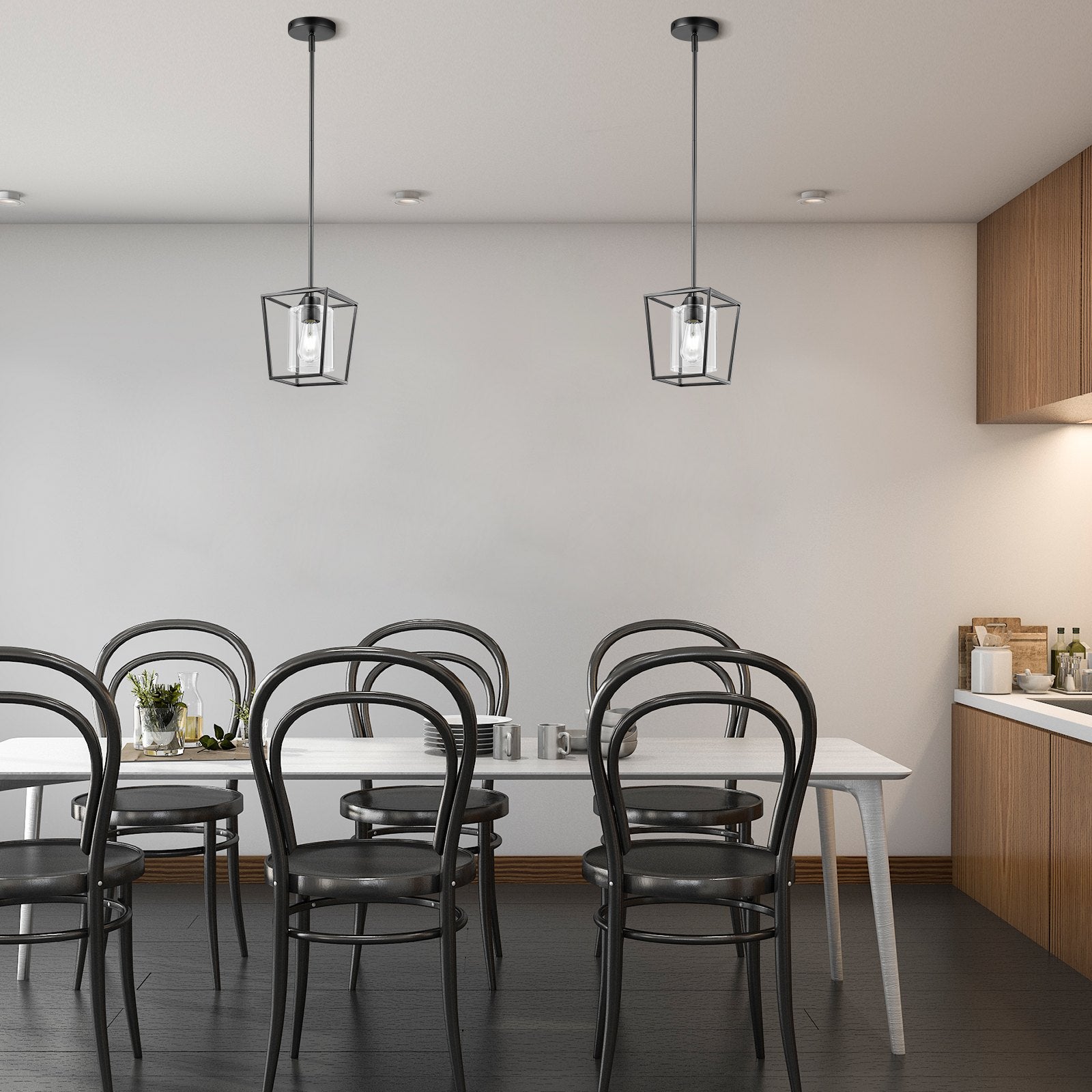 Black Iron Cage Pendant Light — Restaurant Dining & Bar — view 1