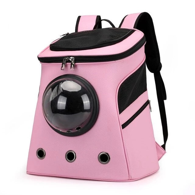 Ventilated Capsule Transport Backpack for Cat Cafés, Adoption Lounges, and Hospitality Care Teams — view 19