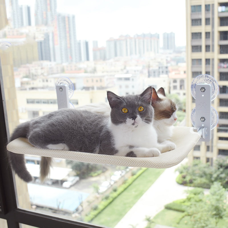 Suction-Mounted Window Perch for Cat Cafés, Street-Facing Lounges, and Elevated Guest Viewing Zones — view 3