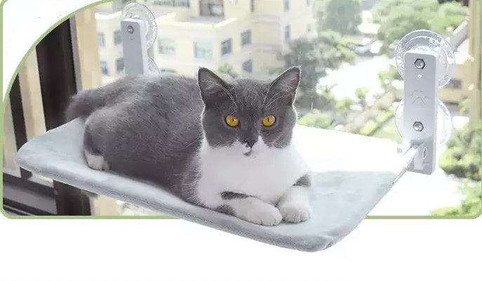 Suction-Mounted Window Perch for Cat Cafés, Street-Facing Lounges, and Elevated Guest Viewing Zones — view 7