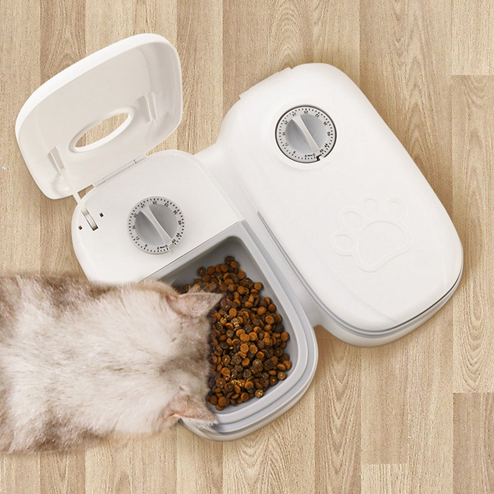Timed Automatic Feeder with Stainless-Steel Bowl for Cat Cafés, Foster Rooms, and Consistent Feeding Routines — view 12