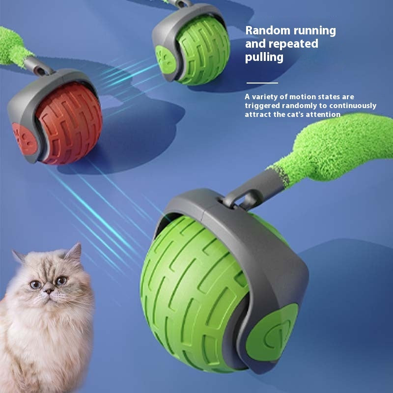 Rechargeable Automatic Rolling Enrichment Ball for Cat Cafés, Adoption Lounges, and Supervised Indoor Play — view 9