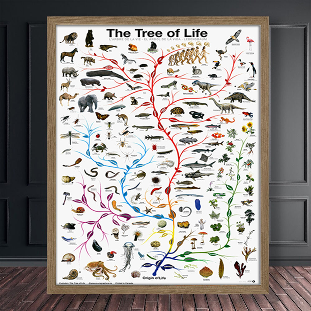 Evolution Tree Of Life Poster Educational Biology Science Chart For Home Wall Decor Novelty Print For Classrooms Offices — view 1