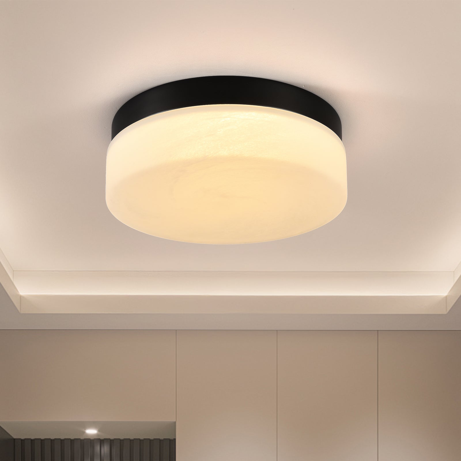 12-Inch Black 24W LED Flush-Mount Ceiling Light for Restaurant Dining Rooms — view 1