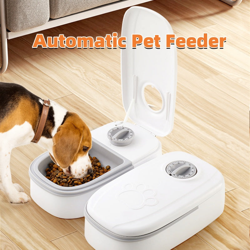 Timed Automatic Feeder with Stainless-Steel Bowl for Cat Cafés, Foster Rooms, and Consistent Feeding Routines — view 3