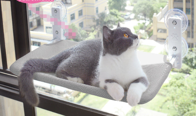 Suction-Mounted Window Perch for Cat Cafés, Street-Facing Lounges, and Elevated Guest Viewing Zones — view 13