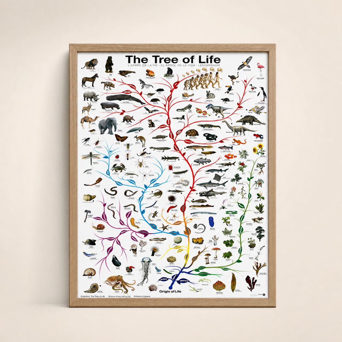 Resto Glow AI product image 2026-08-03 — clean background — Evolution Tree of Life Restaurant Wall Print
