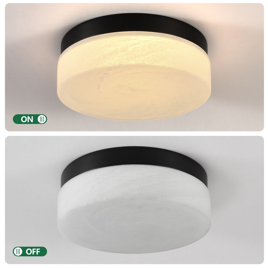 12-Inch Black 24W LED Flush-Mount Ceiling Light for Restaurant Dining Rooms — view 7