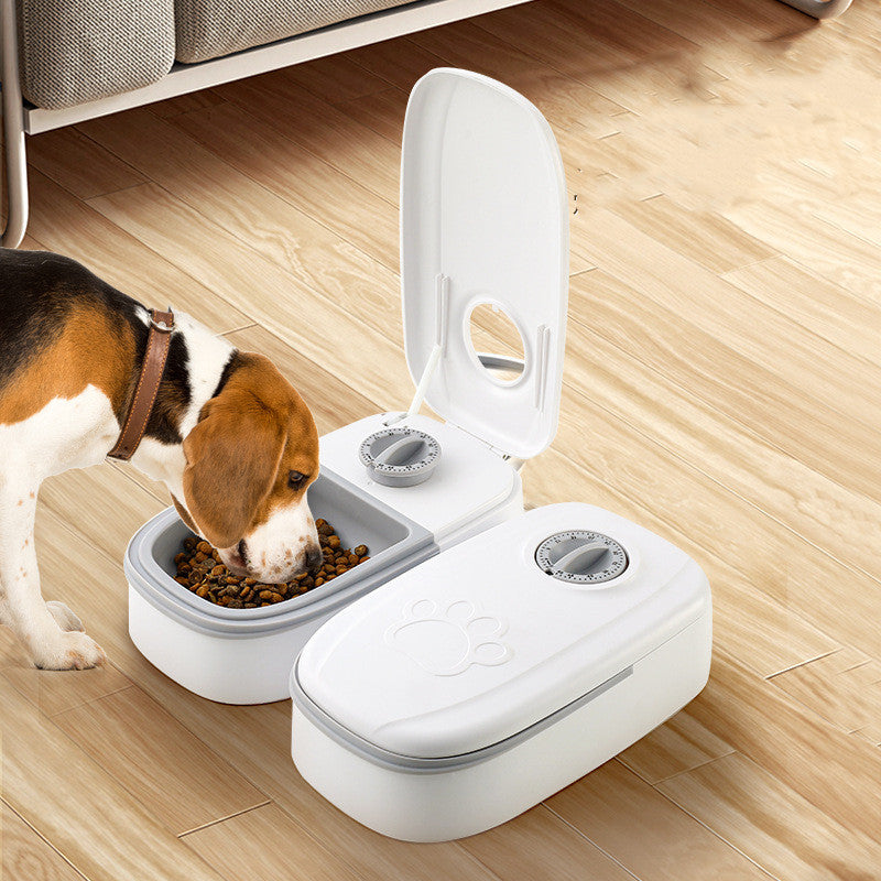 Timed Automatic Feeder with Stainless-Steel Bowl for Cat Cafés, Foster Rooms, and Consistent Feeding Routines — view 7