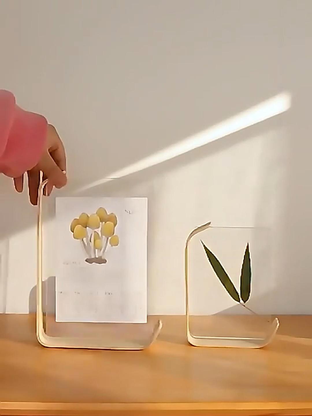 Wood base and transparent acrylic tabletop display frame
